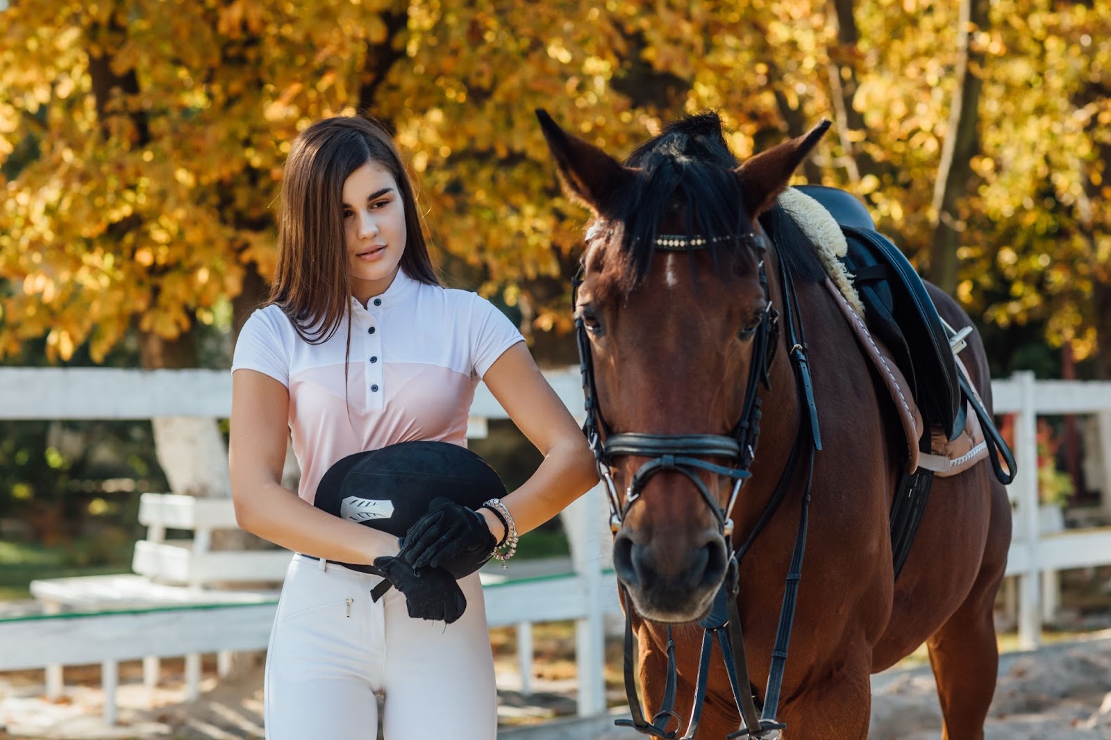 Mastering Equine Education: Horse Training Courses Unleashed