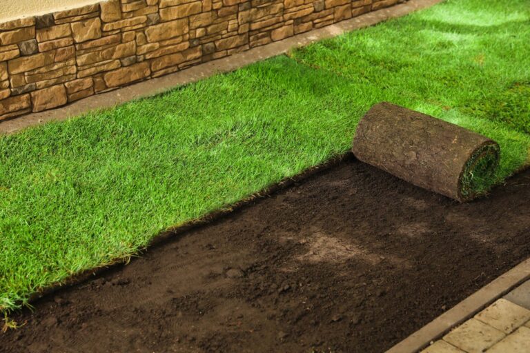 Transforming Your Outdoors: What You Need to Know About Turf Landscaping