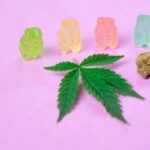 A Guide to Different Types of Edibles and Dosages From Beginner to Expert