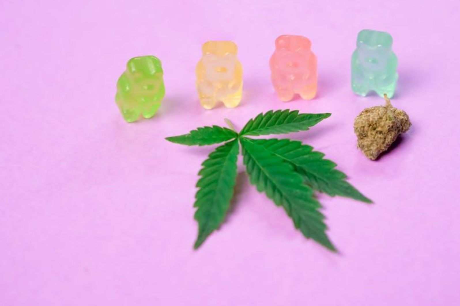 A Guide to Different Types of Edibles and Dosages From Beginner to Expert